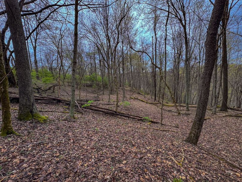 Wirt, WV 39.564 AC Full-24