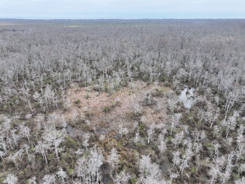 dji_fly_20260123_134140_0964_1769444764670_photo