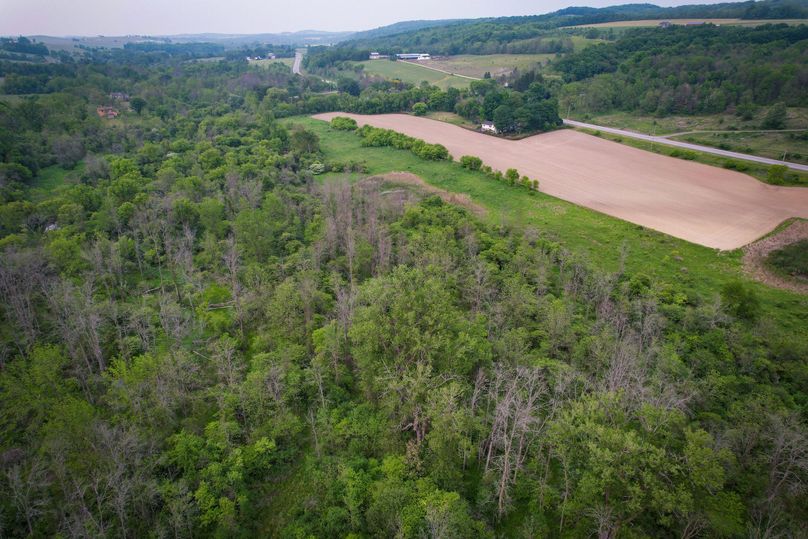 Ontatio_73.3_Green Photo 40