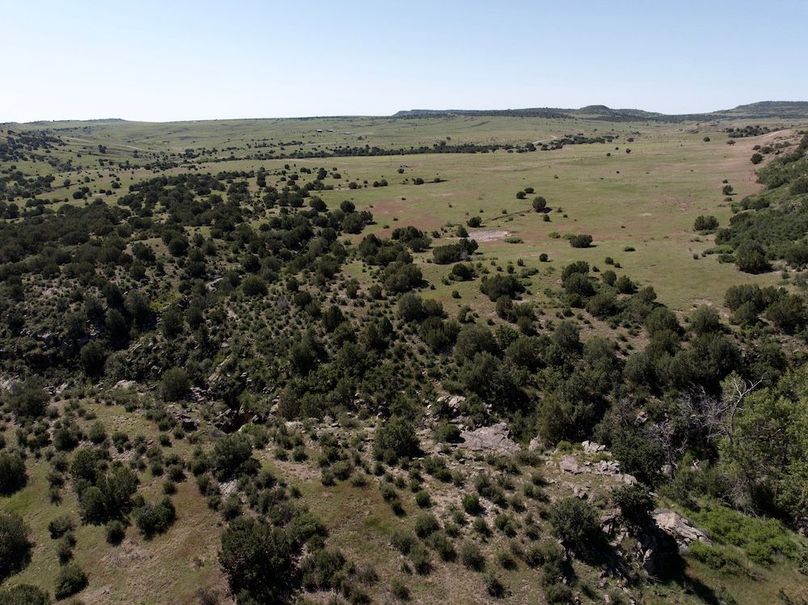 DJI_20250619093410_0016_D
