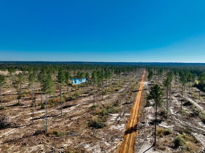 75342F59-5343-4026-9FCD-433CF76454FD_1_201_a