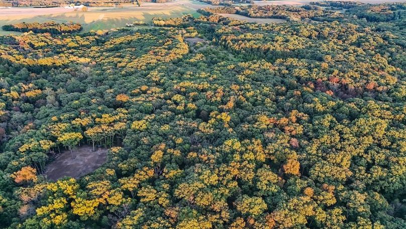 DJI_20250926180912_0042_D