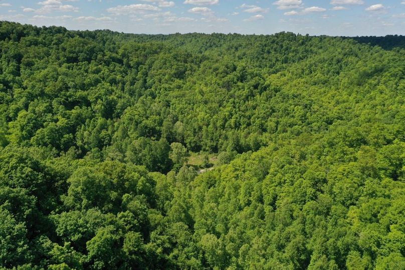 009 aerial drone shot from the south boundary looking north