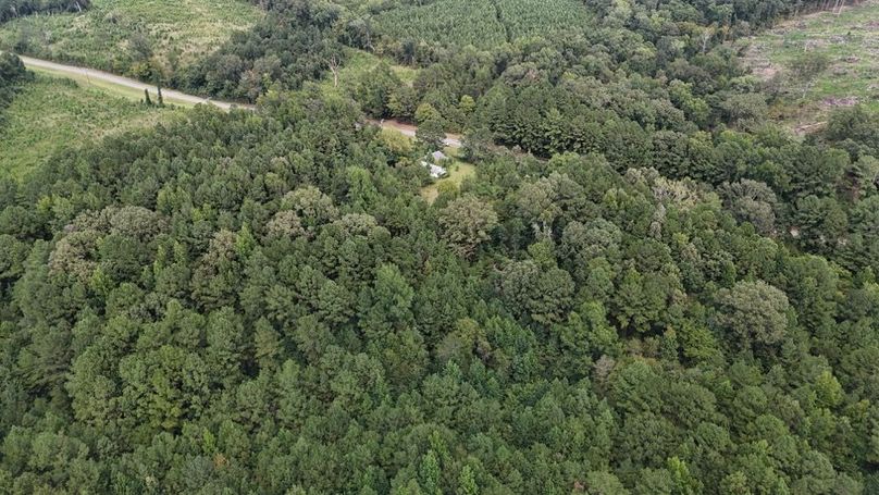 DJI_20250813041739_0624_D