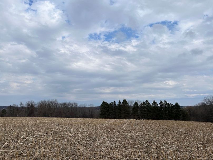 Ontario_96.7_Kiikka Photo 30