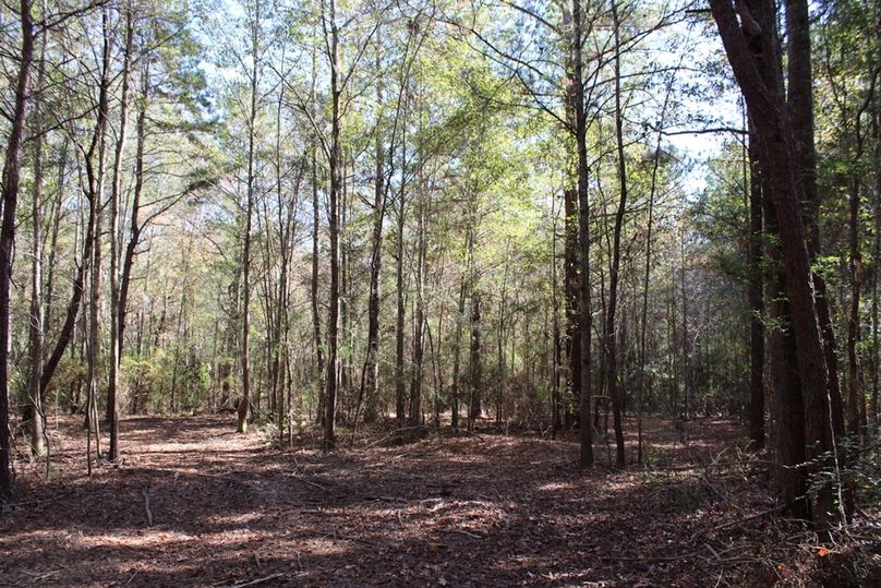 21DB26ED-4D50-45D7-81C9-391FA06F8046_1_105_c