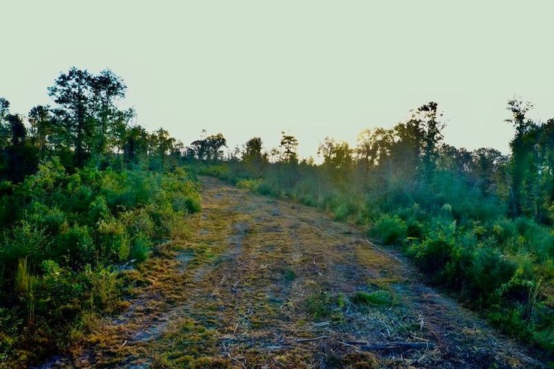 F451627B-2C91-40F8-89F4-526A644D7F3F_1_105_c