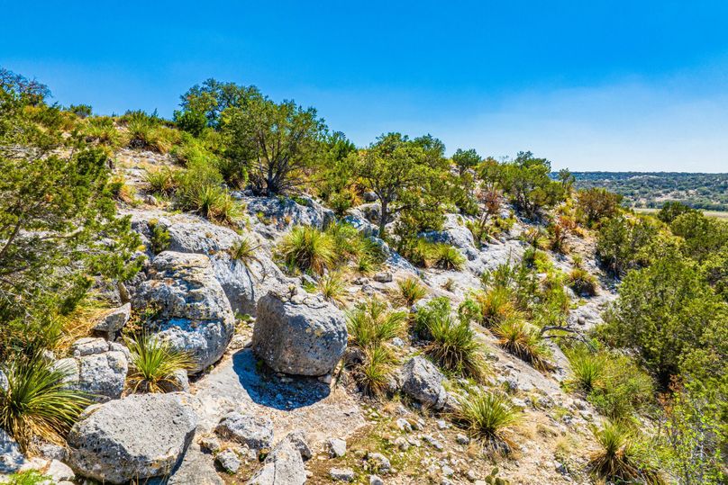 16-web-or-mls-DJI_0183