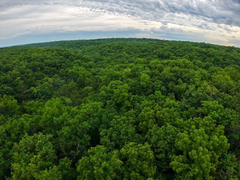 DJI_20250630065951_0280_D