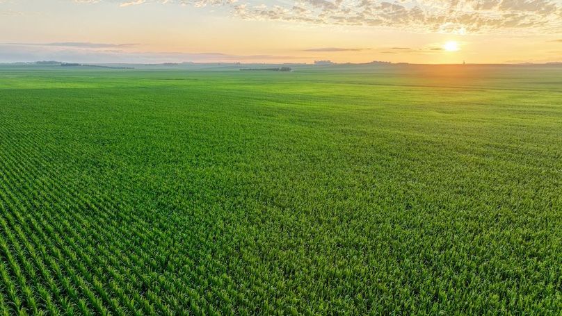 Copy of Copy of DJI_0323