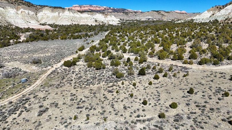 DJI_20240403111005_0141_D