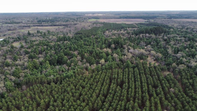 dji_fly_20230509_171858_412_1683724279466_photo_optimized