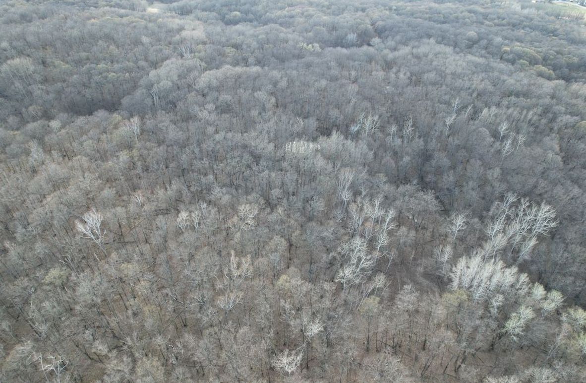 dji_fly_20260424_183258_233_1777074109248_photo