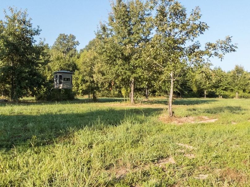 Ashley Co-40-Givens-38