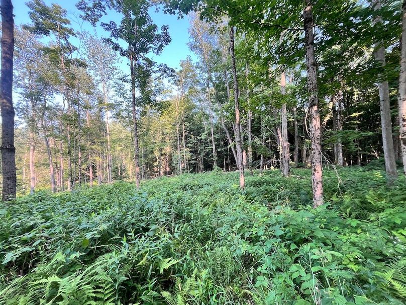 Oswego_615_Oswego_615_GingerichKurtz_Photos_2