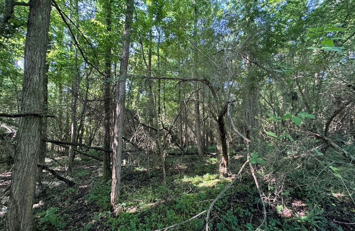 F5DD353F-2A14-4D59-A933-8DAFCF0FD368_1_105_c