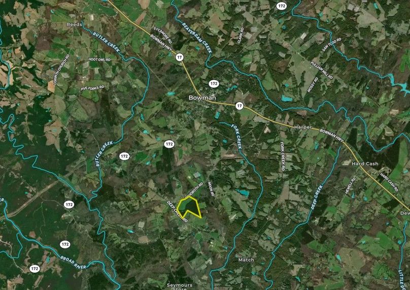 Elbert county 81.50 acres map2