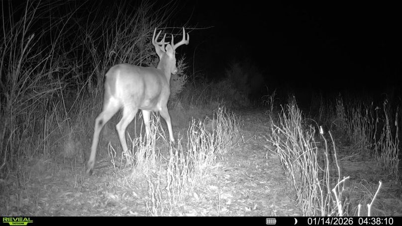 Copy of 016579001744932-88-4-01142026043810-V-SYFW07241