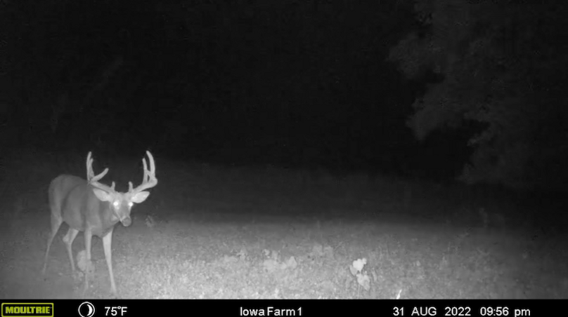 Screen Shot 2024-02-05 at 3.22.36 PM