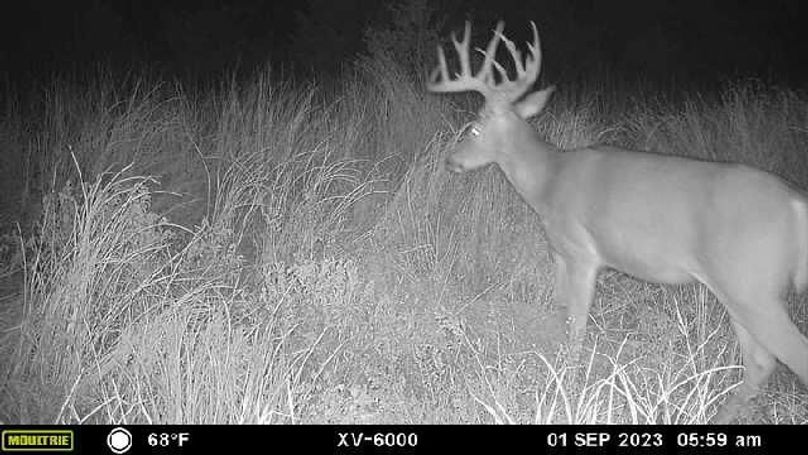 image638376235278718470