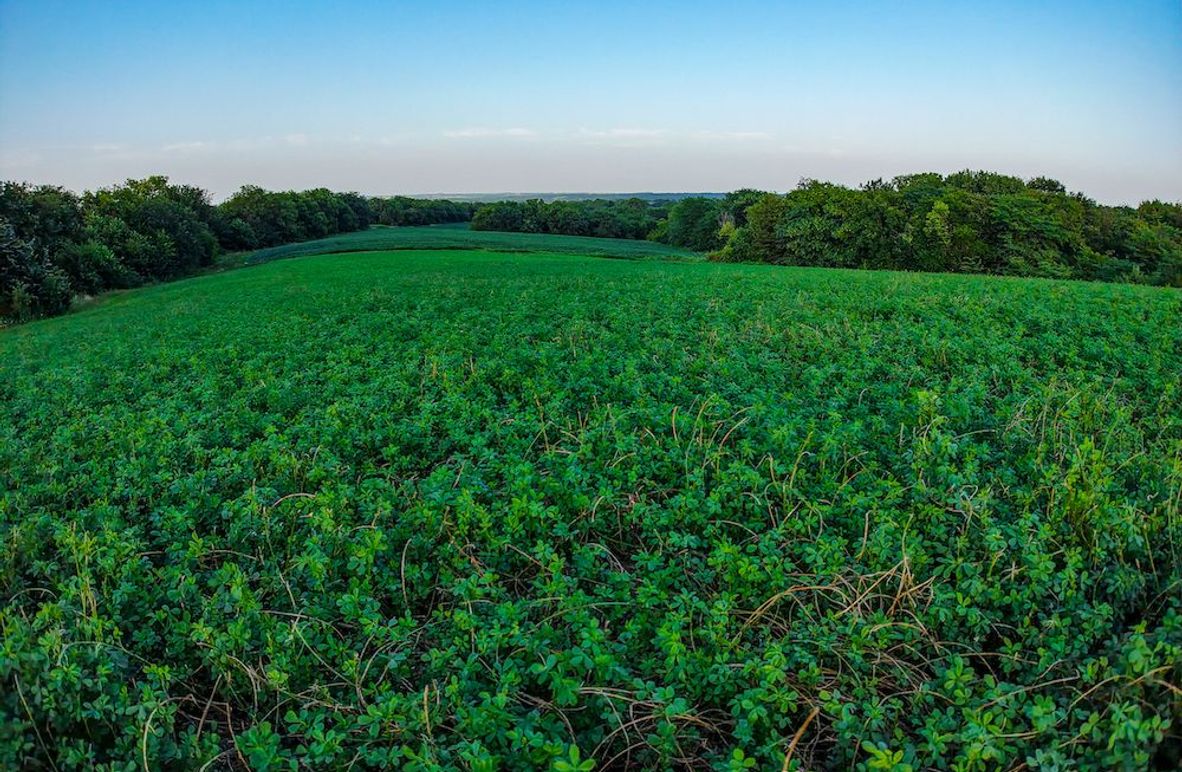 DJI_20250723193709_0351_D