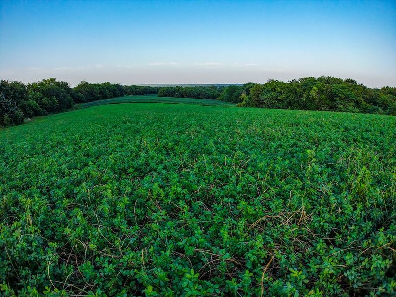 DJI_20250723193709_0351_D