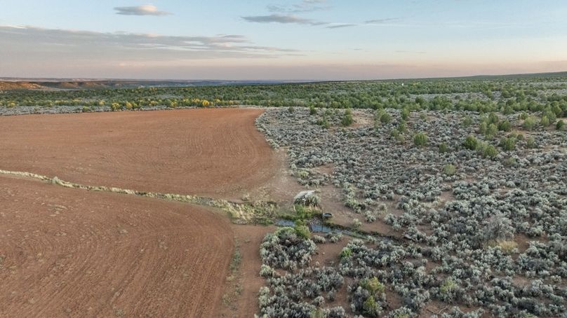 DJI_0308_1