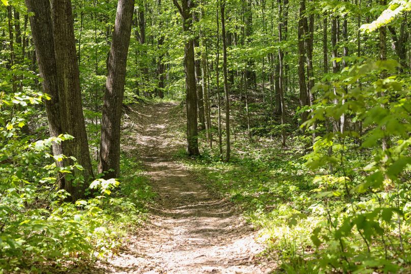 Chippewa85Knowles-5581