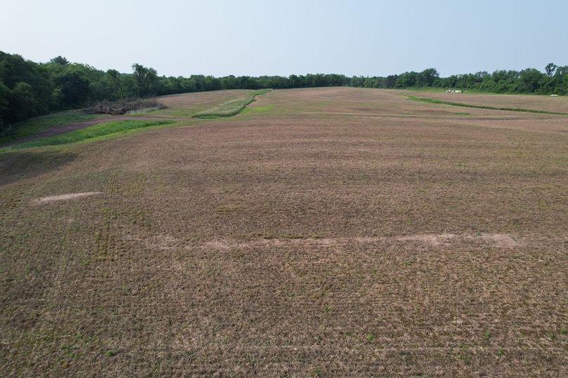 dji_fly_20250611_091520_6_1749647897048_photo