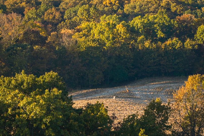 DJI_20251031082550_0237_D