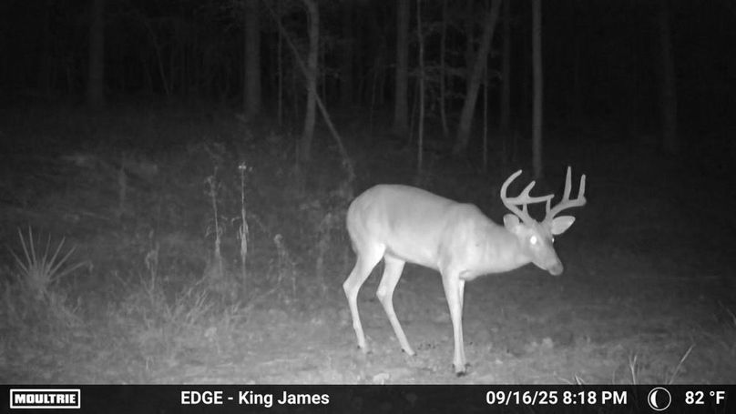 image638937223902615530