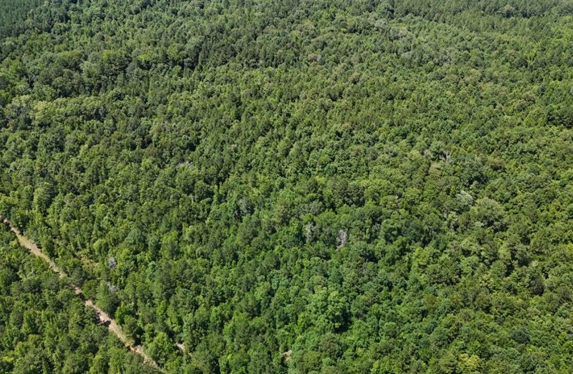 DJI_20250624035633_0649_D