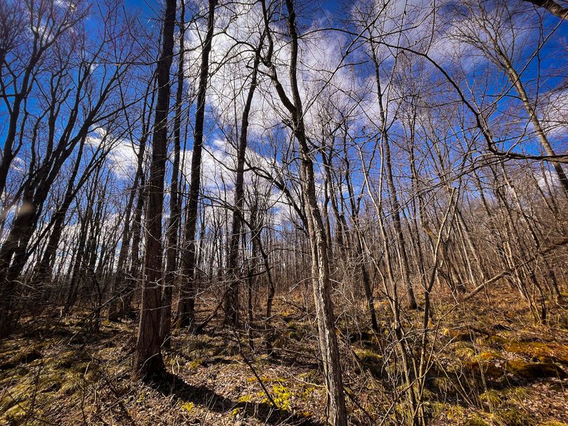 Oswego_165.52_Lashomb_Photos_35