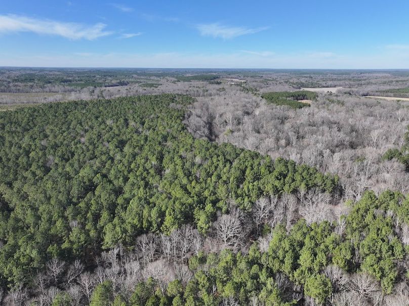 DJI_20260101140958_0290_D