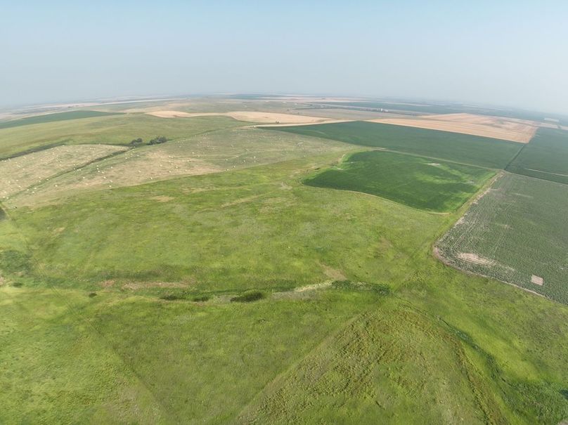 DJI_0360(1)