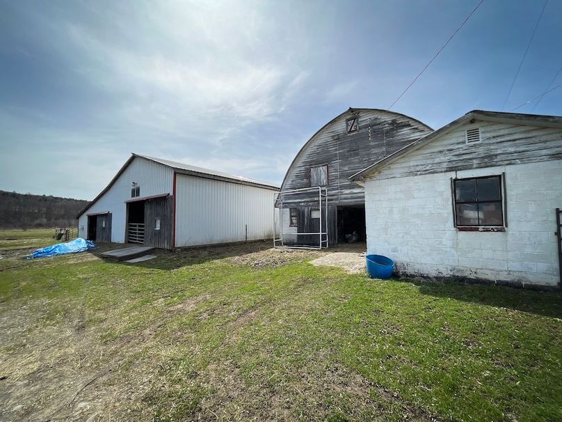 Tioga__NY_109.7_Burris_Photos_17