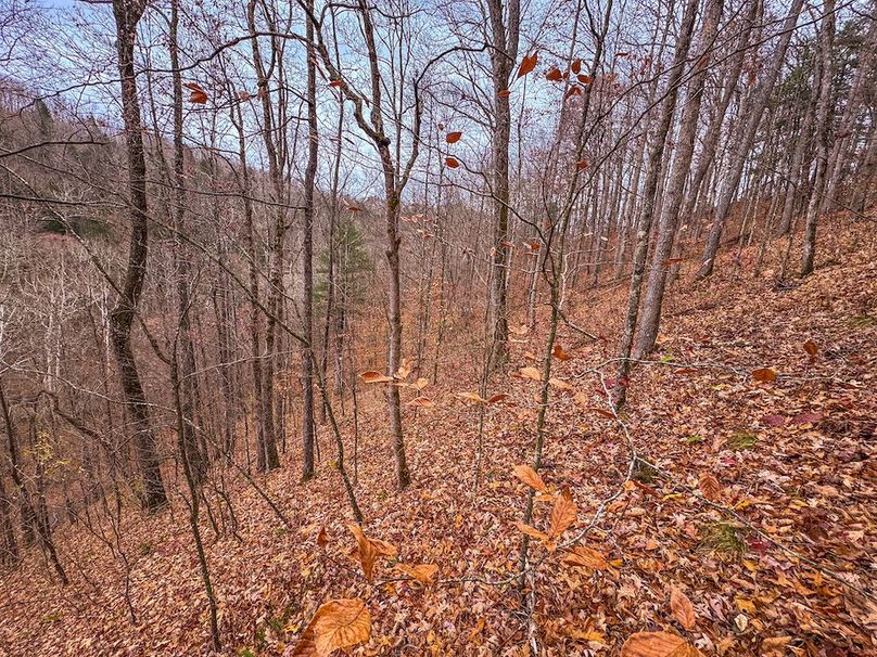 Ritchie, WV 15.5 AC Harper-10