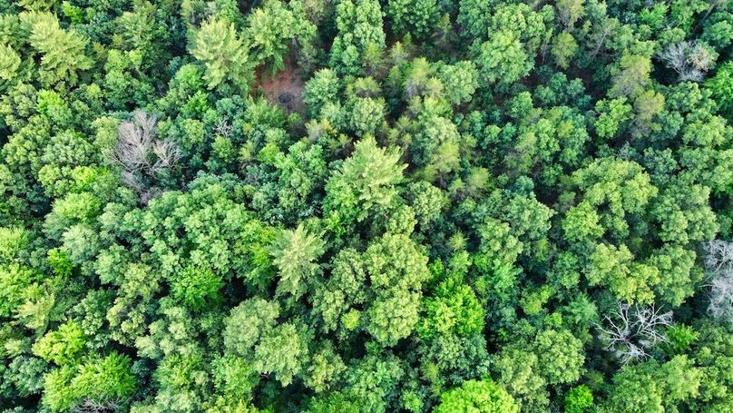 dji_fly_20250624_195522_891_1750813815384_photo_optimized