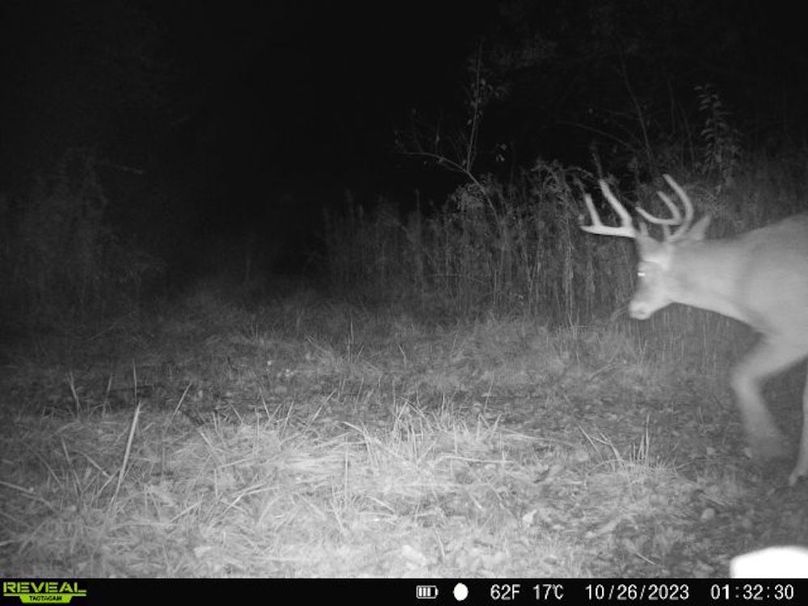 860322065128164-1-4-10262023013230-V-W1004479