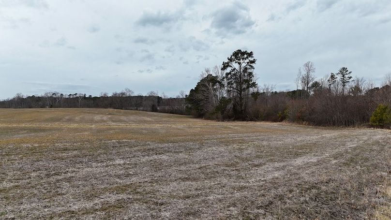 dji_fly_20260218_164346_0023_1771452058801_photo