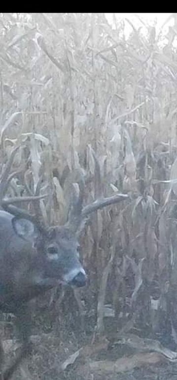 Screenshot_20230722_175837_Gallery