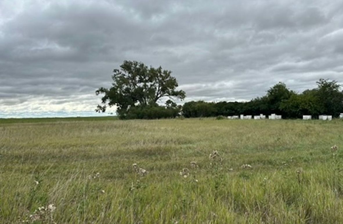 5AA71FAF-F924-46C5-8E92-EA2D01852D88_4_5005_c