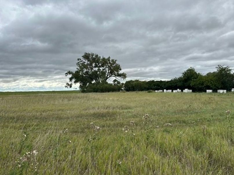 5AA71FAF-F924-46C5-8E92-EA2D01852D88_4_5005_c