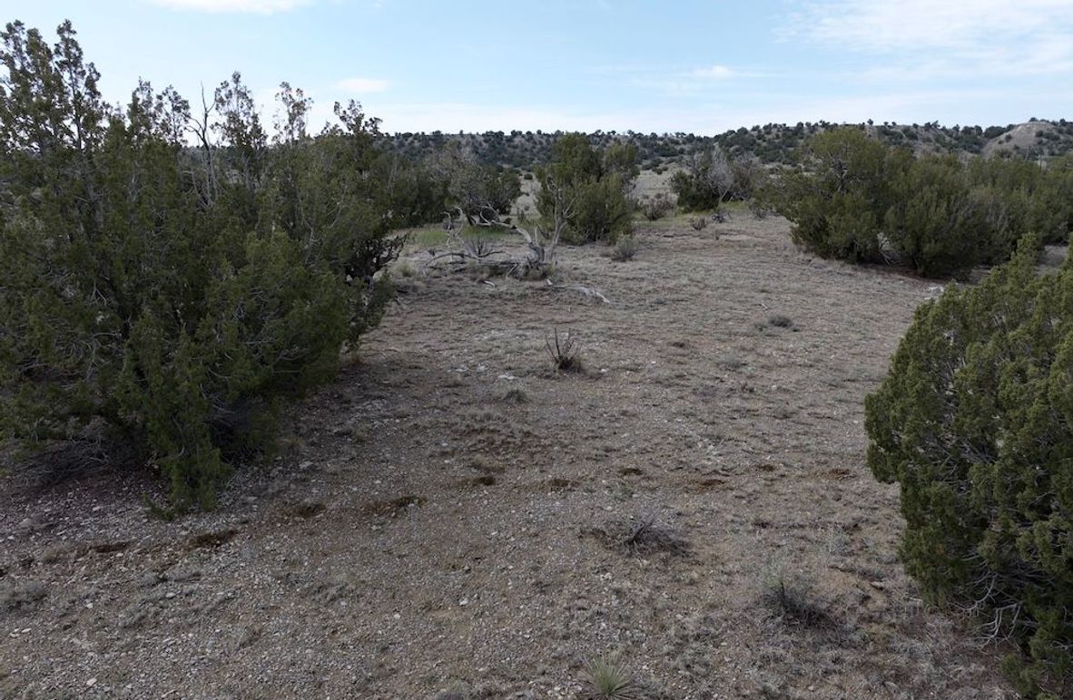 Las Animas CO 40 Carey 5