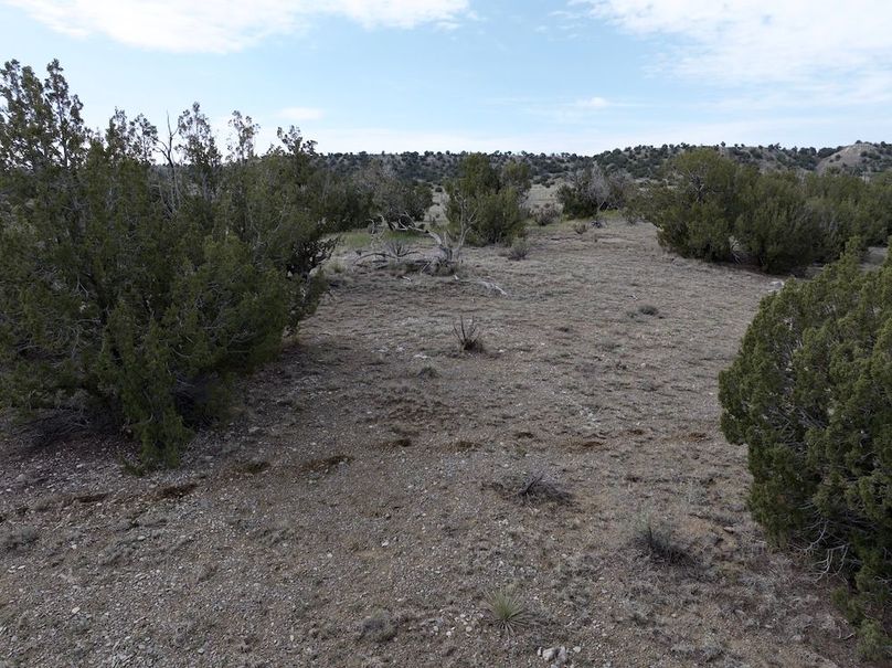 Las Animas CO 40 Carey 5