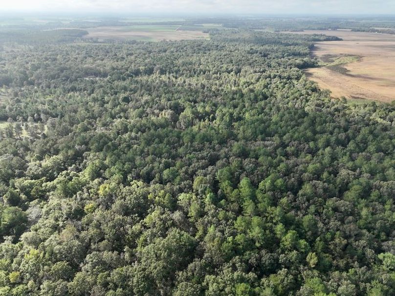 dji_fly_20251007_100816_222_1759846415752_photo