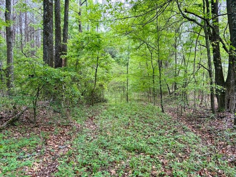 80020221-1A58-48AF-BBAE-08F2DD94666A_1_105_c