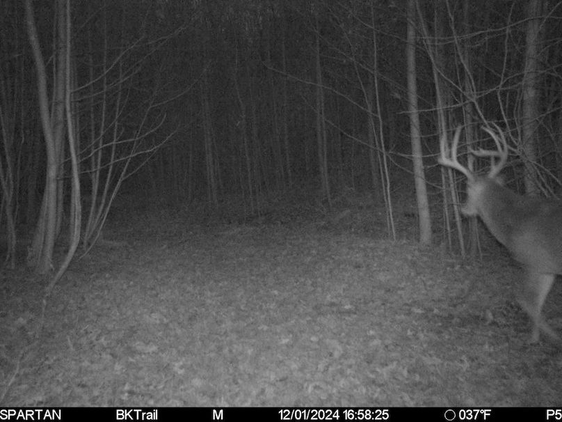 trail cam16