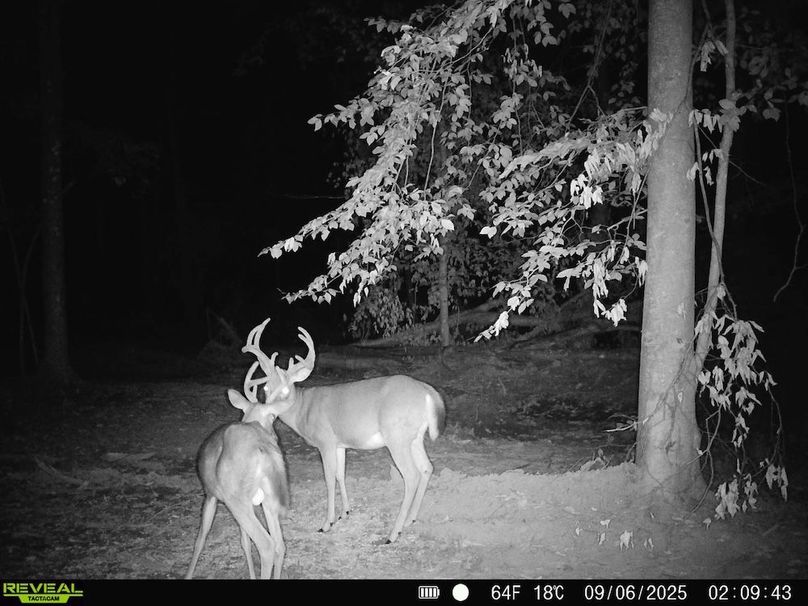 868032068723497-100-4-09062025085914-HD-SYFW0374