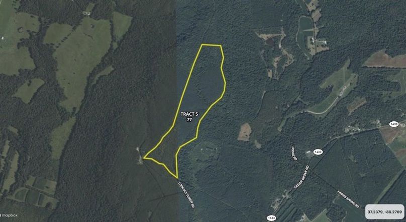 Livingston Tract 5 - 77 Ac